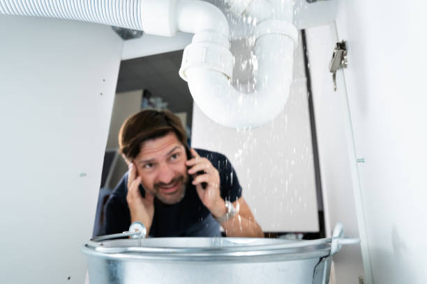 Best Drain Cleaning Services  in Plant City, FL